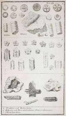 Bild Nr.4: 143-2005 Walch,J.E.I.: (Verschiedene Gebiete - Varia, Geologie - Mineralogie u. Paläontologie)