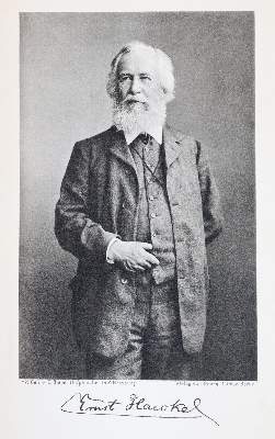 Bild Nr.2: 143-2008 Haeckel,E.: (Verschiedene Gebiete - Varia)