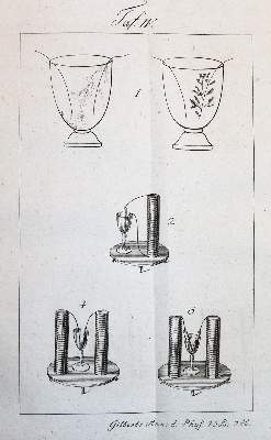 Bild Nr.3: 143-2049 Humboldt,A.v.: (Verschiedene Gebiete - Varia, Physik)