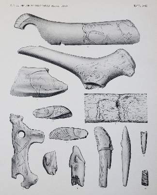 Bild Nr.4: 143-2061 Schmidt,R.R.: (Verschiedene Gebiete - Varia)