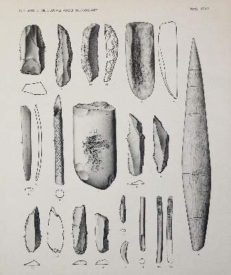 Bild Nr.5: 143-2061 Schmidt,R.R.: (Verschiedene Gebiete - Varia)