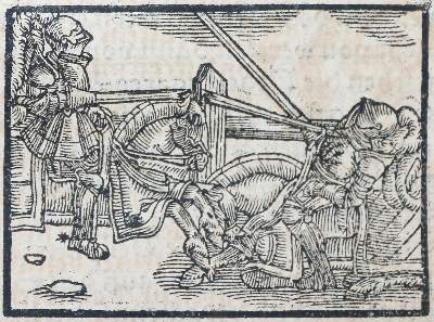 Bild Nr.2: 143-2106 Magnus,O.: (Arktis-Antarktis-Nordländer)