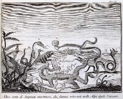 Bild Nr.3: 143-2248 (Salmon,T.).: (Deutschland)