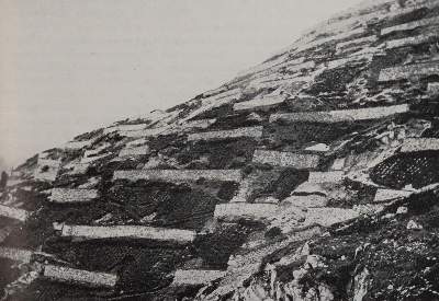 Bild Nr.2: 143-2377 Rikli,M.: (Schweiz)