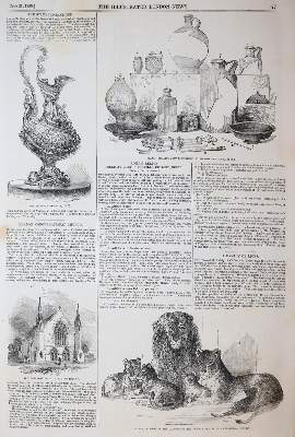 Bild Nr.41: 143-2442 Morris,F.O.: (Verschiedene Länder - Geschichte, Grossbritannien)