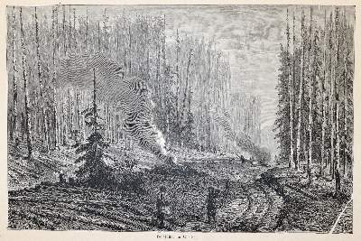 Bild Nr.4: 143-2479 Roskoschny,H.: (Verschiedene Länder - Geschichte, Russland)