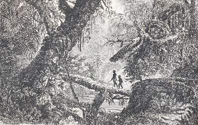 Bild Nr.3: 143-2498 Welt-Gemälde-Gallerie: (Verschiedene Länder - Geschichte)