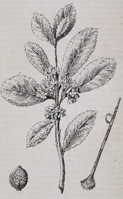 Bild Nr.4: 143-2498 Welt-Gemälde-Gallerie: (Verschiedene Länder - Geschichte)