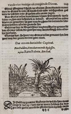 Bild Nr.4: 143-275 Plinius Secundus,G.: (Alte Drucke, Handschriften und Theologie)