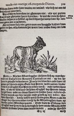 Bild Nr.5: 143-275 Plinius Secundus,G.: (Alte Drucke, Handschriften und Theologie)