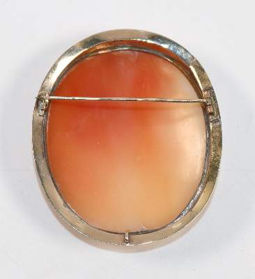 Bild Nr.2: 143-2831 Prächtige Muschelkamee: (Schmuck, Broschen)