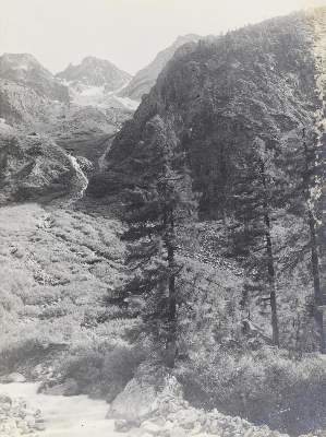 Bild Nr.3: 143-2941 Konvolut: (Photographie)