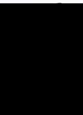 Bild Nr.3: 143-2951 Sammlung: (Portrait)