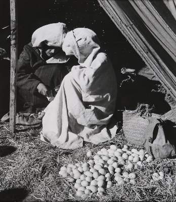 Bild Nr.5: 143-2960 Rouget, Bernard: (Photographie)