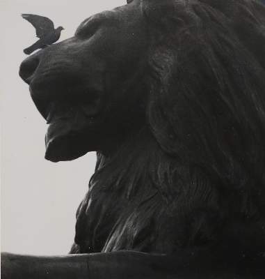 Bild Nr.2: 143-2962 Sammlung: (Photographie)