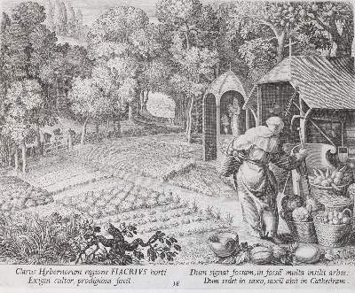 Bild Nr.4: 143-298 Sadeler, Johannes und Raphael: (Alte Drucke, Handschriften und Theologie)