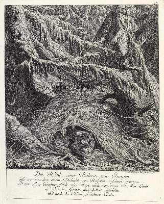 Bild Nr.1: 143-3027 Ridinger,E.J.: (Varia, Jagd, Bären)