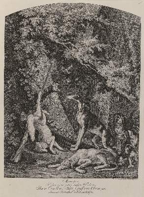 Bild Nr.1: 143-3030 Ridinger,E.J.: (Varia, Jagd, Füchse)