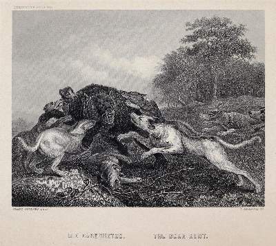 Bild Nr.3: 143-3033 Konvolut.: (Varia, Jagd)