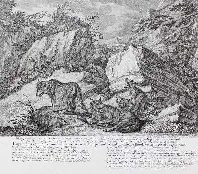 Bild Nr.5: 143-3036 Jagdkunst.: (Varia, Jagd, Ridinger)