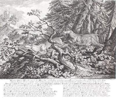 Bild Nr.3: 143-3038 Wolfsjagd.: (Varia, Jagd, Ridinger)