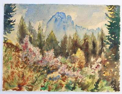 Bild Nr.28: 143-3041 Konvolut.: (Varia)