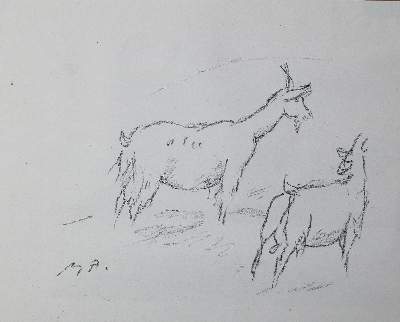 Bild Nr.1: 143-3089 Rückgänge: (Varia)