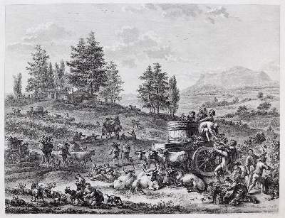 Bild Nr.1: 143-3104 Weinlese.: (Varia)