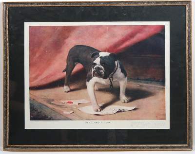 Bild Nr.15: 143-3106 Mops und Bulldogge.: (Varia, Zoologie, Hunde)