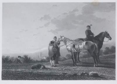 Bild Nr.2: 143-3108 Pferde: (Varia, Zoologie)