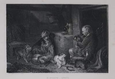 Bild Nr.3: 143-3108 Pferde: (Varia, Zoologie)