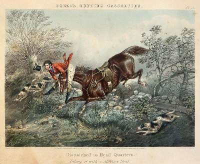 Bild Nr.3: 143-3109 Harris, James: (Varia, Zoologie, Pferde)