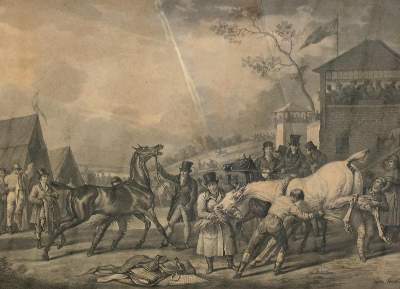 Bild Nr.1: 143-3110 Jazet, Jean Pierre Marie: (Varia, Zoologie, Pferde)