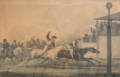 Bild Nr.2: 143-3110 Jazet, Jean Pierre Marie: (Varia, Zoologie, Pferde)