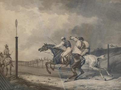 Bild Nr.4: 143-3110 Jazet, Jean Pierre Marie: (Varia, Zoologie, Pferde)