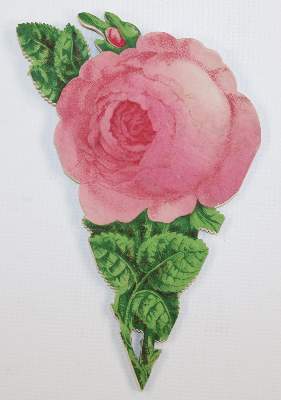 Bild Nr.3: 143-3278 Souvenirrose: (Ausland, England, Bristol)