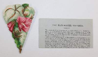 Bild Nr.4: 143-3281 Souvenirrose: (Ausland, England, Manchester)