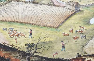 Bild Nr.11: 143-3391 Naumann, August Franz Heinrich von: (Ausland, Österreich, Hallein)