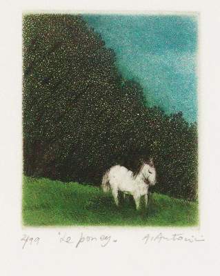 Bild Nr.3: 143-3532 Antonini, Annapia: (Künstlergraphik)