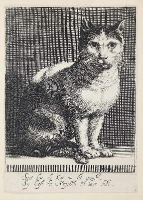 Bild Nr.1: 143-3602 Bloemart II., Cornelis,: (Künstlergraphik)