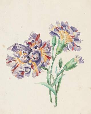 Bild Nr.2: 143-3603 Blumen.: (Künstlergraphik)