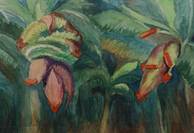 Bild Nr.3: 143-3604 Blumen: (Künstlergraphik)