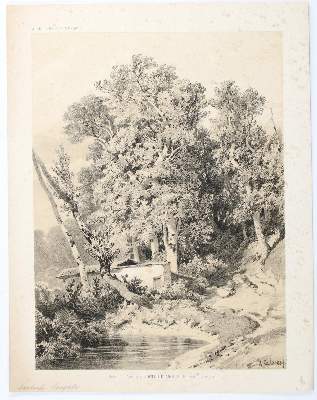 Bild Nr.1: 143-3642 Calame, Alexandre: (Künstlergraphik)