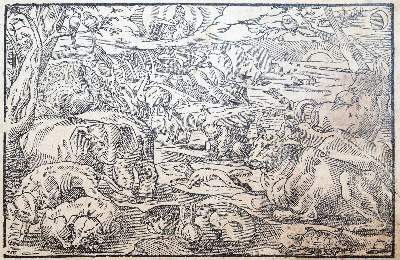 Bild Nr.2: 143-37 Biblia germanica.: (Bibeln)