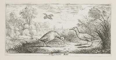 Bild Nr.2: 143-3805 Flamen,Albert: (Künstlergraphik)
