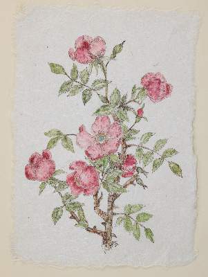 Bild Nr.1: 143-3901 Henneberg, Paula: (Künstlergraphik)