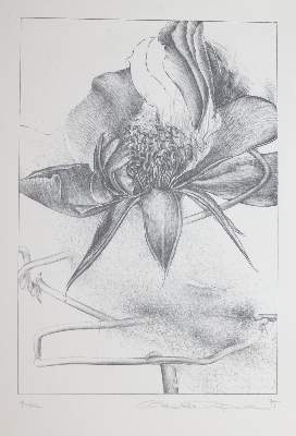 Bild Nr.9: 143-4097 Konvolut: (Künstlergraphik)