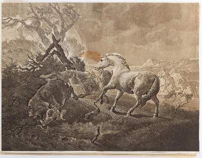 Bild Nr.2: 143-4223 Menken, Johann Heinrich: (Künstlergraphik)