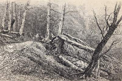 Bild Nr.2: 143-4325 Pietschmann, Max: (Künstlergraphik)