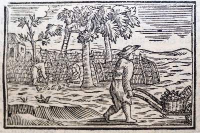 Bild Nr.3: 143-435 Haußhaltungs-, Garten- und Geschichts-Calender,: (Kalender, Preussen)